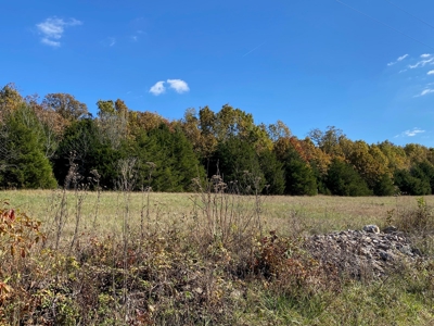 Vacant Land in Mountain Grove, Missouri - image 7