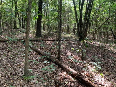 Vacant Land in Mountain Grove, Missouri - image 6
