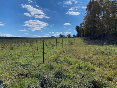 Vacant Land in Mountain Grove, Missouri - image 2
