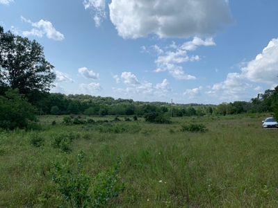 Vacant Land in Mountain Grove, Missouri - image 5