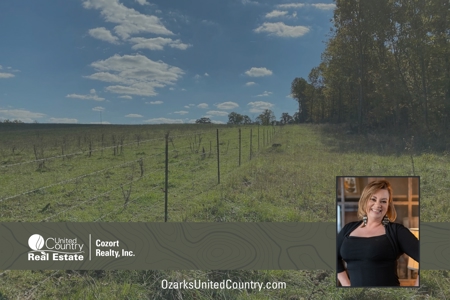 Vacant Land in Mountain Grove, Missouri - image 1
