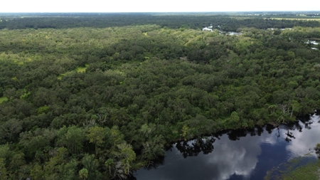 325 Acres Peace River Recreational Property! - image 16