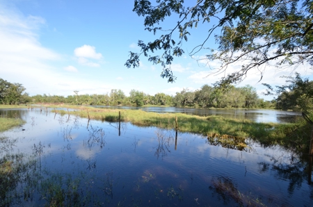 325 Acres Peace River Recreational Property! - image 13