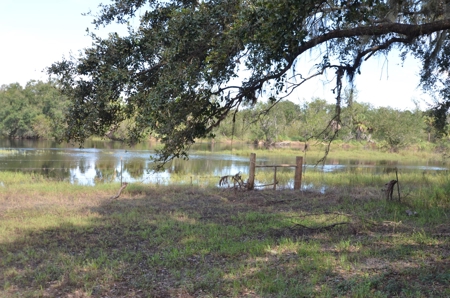 325 Acres Peace River Recreational Property! - image 11