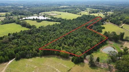 East Texas Hunting and Homesite Property - image 1