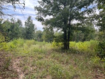 East Texas Hunting and Homesite Property - image 7