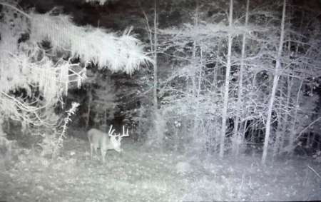 East Texas Hunting and Homesite Property - image 4