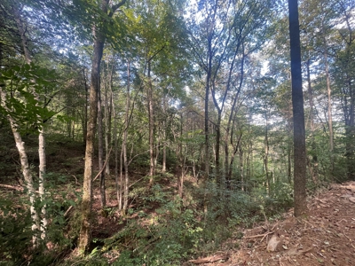 5.6 acre lot for sale near Dale Hollow Lake, Burkesville, Ky - image 22