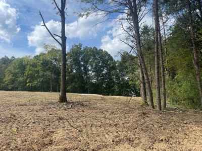 5.6 acre lot for sale near Dale Hollow Lake, Burkesville, Ky - image 3