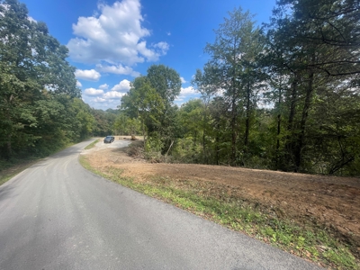 5.6 acre lot for sale near Dale Hollow Lake, Burkesville, Ky - image 15