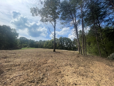 5.6 acre lot for sale near Dale Hollow Lake, Burkesville, Ky - image 4