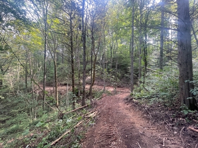 5.6 acre lot for sale near Dale Hollow Lake, Burkesville, Ky - image 19