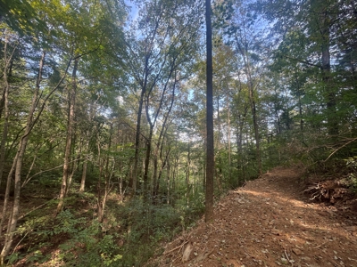 5.6 acre lot for sale near Dale Hollow Lake, Burkesville, Ky - image 23