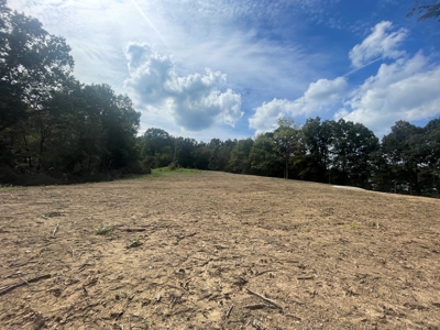 5.6 acre lot for sale near Dale Hollow Lake, Burkesville, Ky - image 5