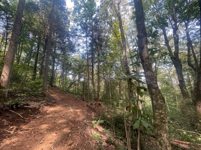 5.6 acre lot for sale near Dale Hollow Lake, Burkesville, Ky - image 20
