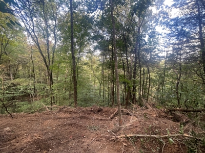 5.6 acre lot for sale near Dale Hollow Lake, Burkesville, Ky - image 25