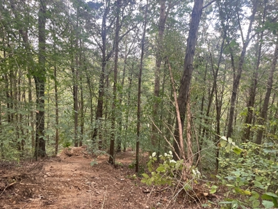 5.6 acre lot for sale near Dale Hollow Lake, Burkesville, Ky - image 26