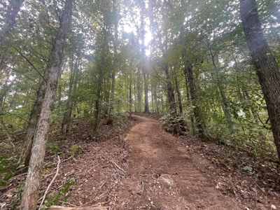 5.6 acre lot for sale near Dale Hollow Lake, Burkesville, Ky - image 24