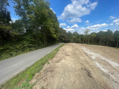 5.6 acre lot for sale near Dale Hollow Lake, Burkesville, Ky - image 13