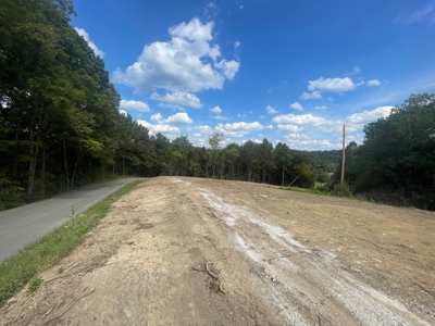 5.6 acre lot for sale near Dale Hollow Lake, Burkesville, Ky - image 11