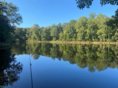 Lakefront Home For Sale In Tn, 2 Ponds, Timber, Hunting - image 34