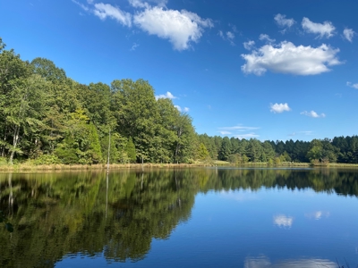 Lakefront Home For Sale In Tn, 2 Ponds, Timber, Hunting - image 33