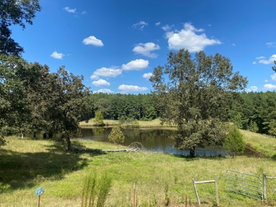 Lakefront Home For Sale In Tn, 2 Ponds, Timber, Hunting - image 28
