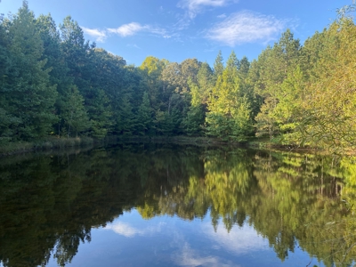 Lakefront Home For Sale In Tn, 2 Ponds, Timber, Hunting - image 31