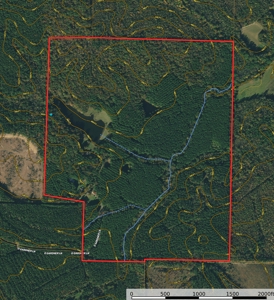 Lakefront Home For Sale In Tn, 2 Ponds, Timber, Hunting - image 50