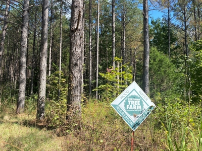 Lakefront Home For Sale In Tn, 2 Ponds, Timber, Hunting - image 7