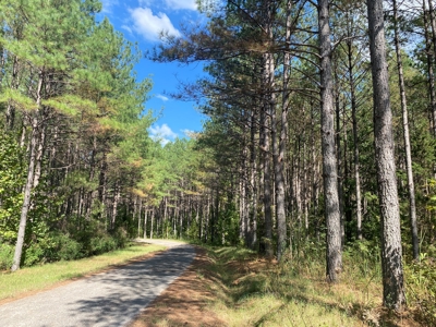 Lakefront Home For Sale In Tn, 2 Ponds, Timber, Hunting - image 30