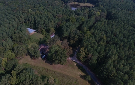 Lakefront Home For Sale In Tn, 2 Ponds, Timber, Hunting - image 48