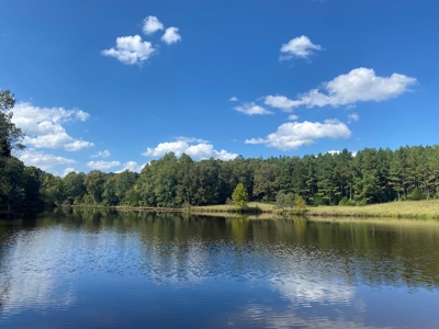 Lakefront Home For Sale In Tn, 2 Ponds, Timber, Hunting - image 32