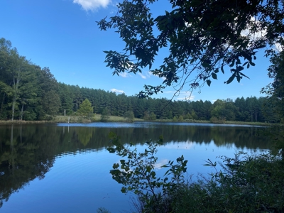Lakefront Home For Sale In Tn, 2 Ponds, Timber, Hunting - image 3