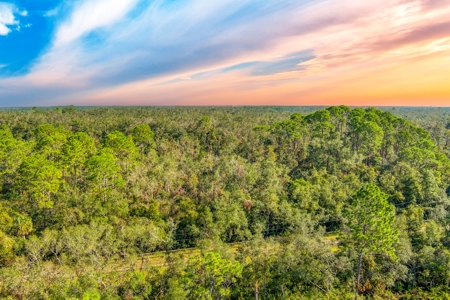 20 Acres In Taylor Cnty, Fl Just Minutes From Keaton Beach!! - image 1