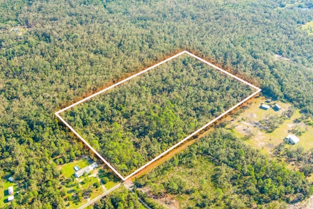 20 Acres In Taylor Cnty, Fl Just Minutes From Keaton Beach!! - image 2