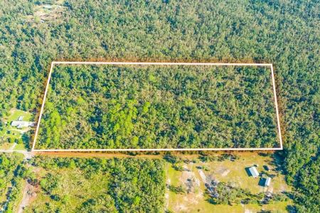 20 Acres In Taylor Cnty, Fl Just Minutes From Keaton Beach!! - image 4