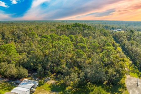20 Acres In Taylor Cnty, Fl Just Minutes From Keaton Beach!! - image 3