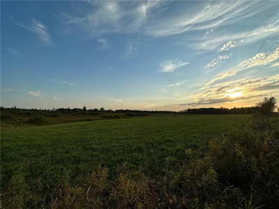 40 Acres of Vacant Land For Sale in Sturgeon Lake MN - image 4