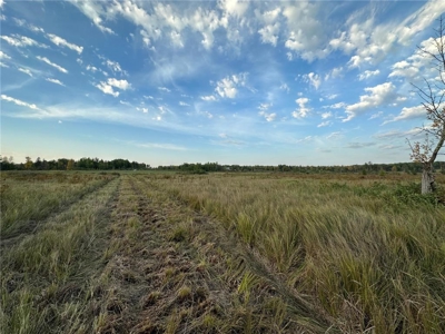 40 Acres of Vacant Land For Sale in Sturgeon Lake MN - image 9