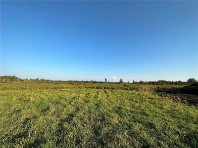 40 Acres of Vacant Land For Sale in Sturgeon Lake MN - image 2