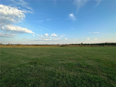 40 Acres of Vacant Land For Sale in Sturgeon Lake MN - image 7