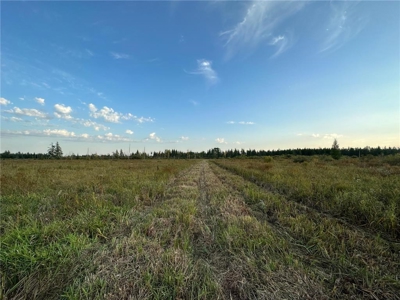 40 Acres of Vacant Land For Sale in Sturgeon Lake MN - image 8