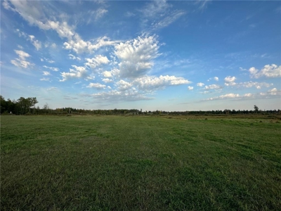40 Acres of Vacant Land For Sale in Sturgeon Lake MN - image 3