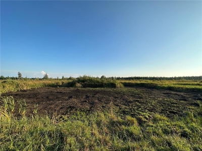 40 Acres of Vacant Land For Sale in Sturgeon Lake MN - image 6