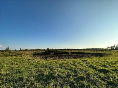 40 Acres of Vacant Land For Sale in Sturgeon Lake MN - image 5