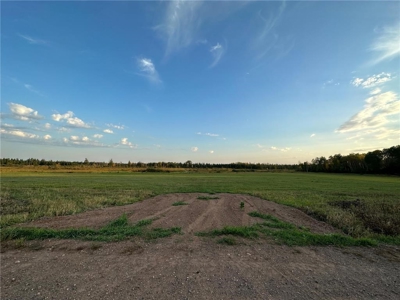 40 Acres of Vacant Land For Sale in Sturgeon Lake MN - image 1