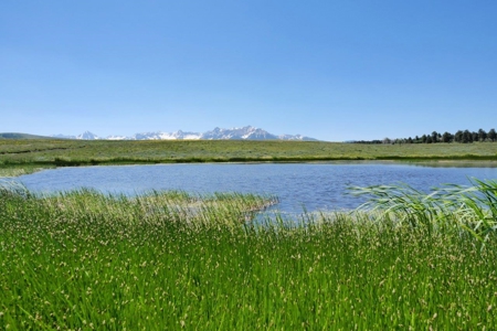 Lot For Sale, Mountain Property, Ridgway, Colorado - image 1