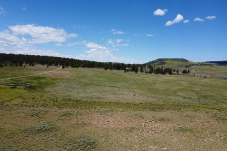 Lot For Sale, Mountain Property, Ridgway, Colorado - image 5