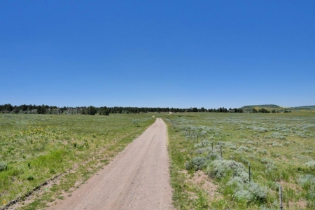 Lot For Sale, Mountain Property, Ridgway, Colorado - image 14